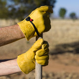 Wells Lamont Work Gloves