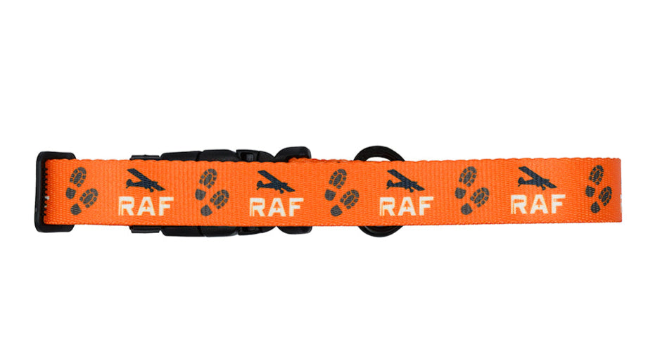 Dog Collar