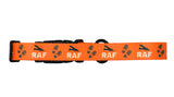 Dog Collar