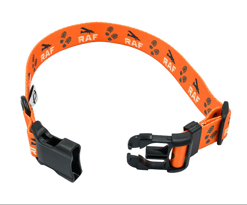 Dog Collar