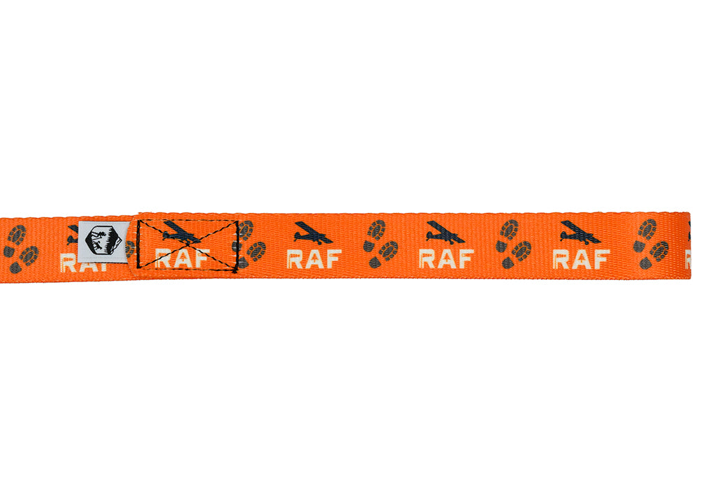 Dog Leash