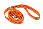 Dog Leash