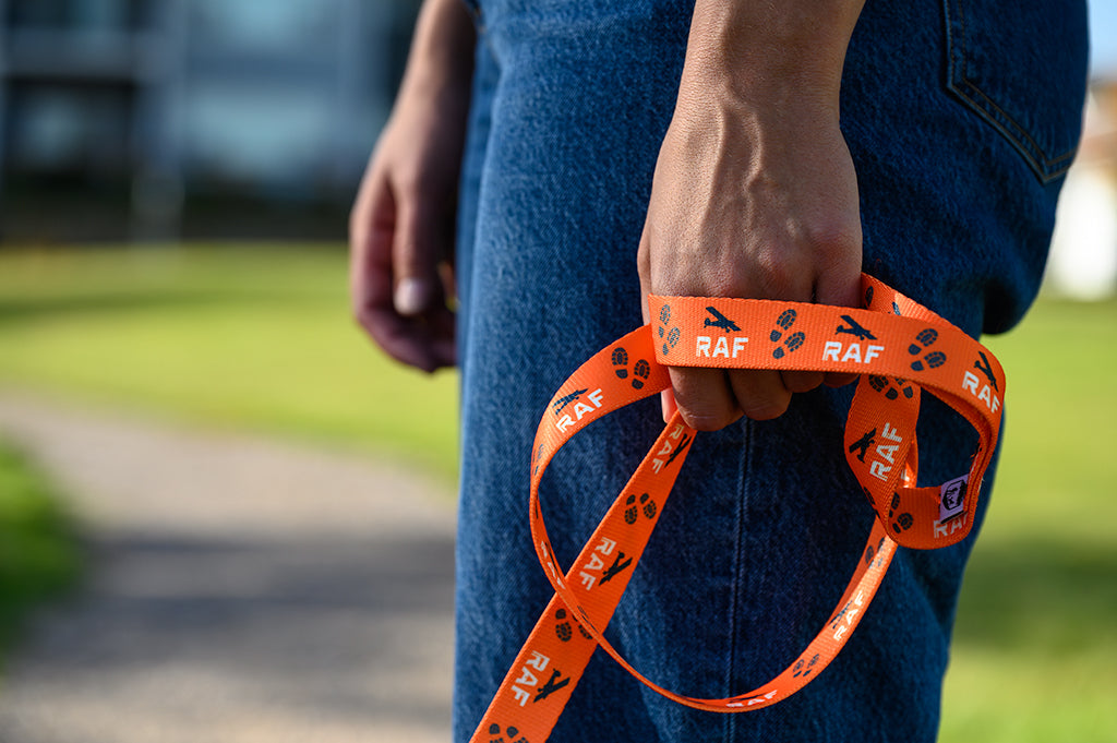 Dog Leash