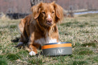 Orvis Dog Bowl