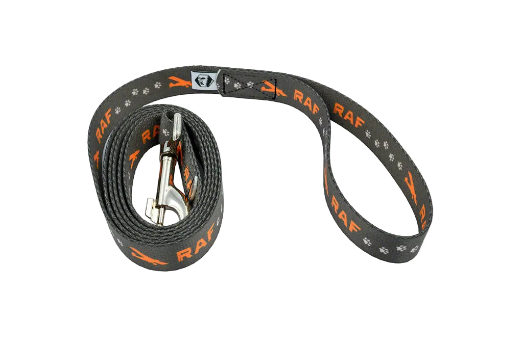 Dog Leash