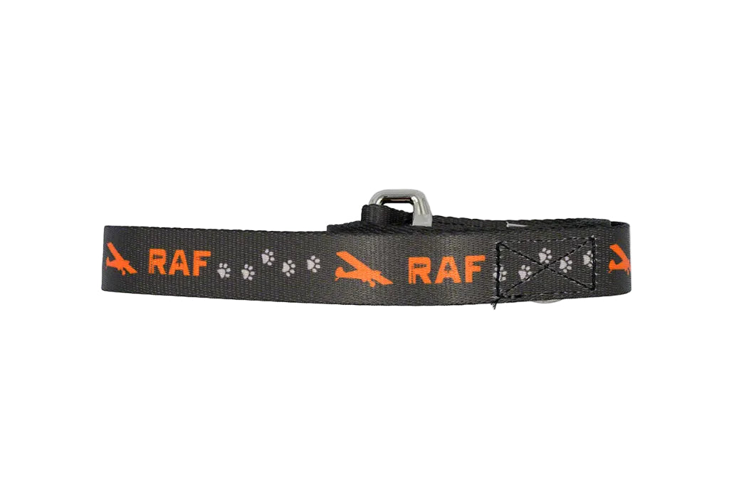 Dog Collar