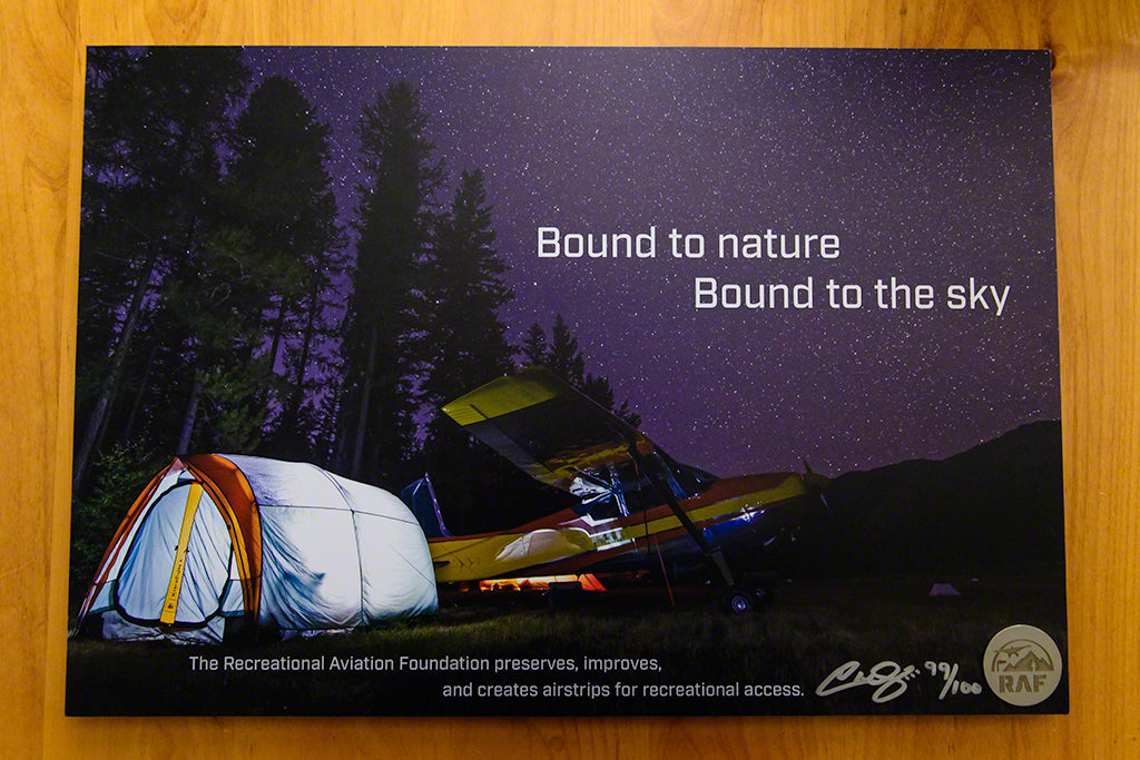 Spirit of the RAF Print